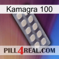 Kamagra 100 08